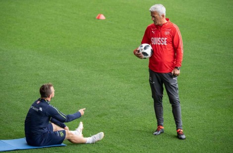 Shaqiri dhe Petkovic