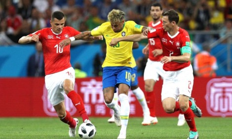 zvicer brazil