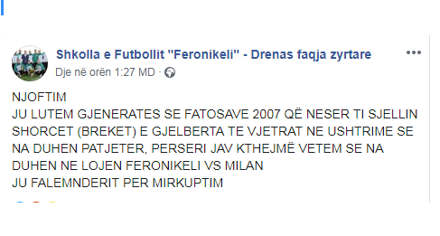 Feronikeli