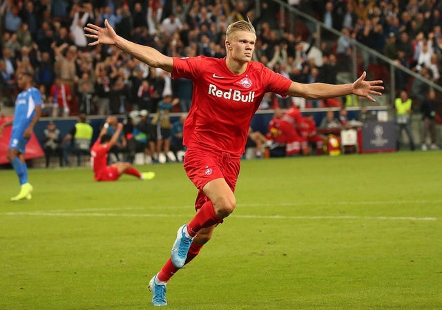 erling haland