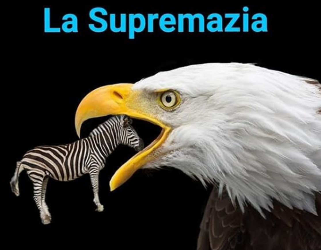 191146297-3f755c6b-9a43-4cdf-9099-03630e0878a8