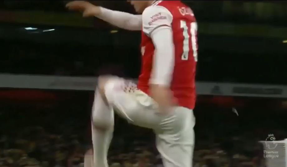 ozil nerva