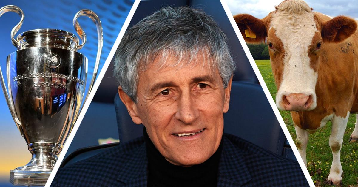 setien4