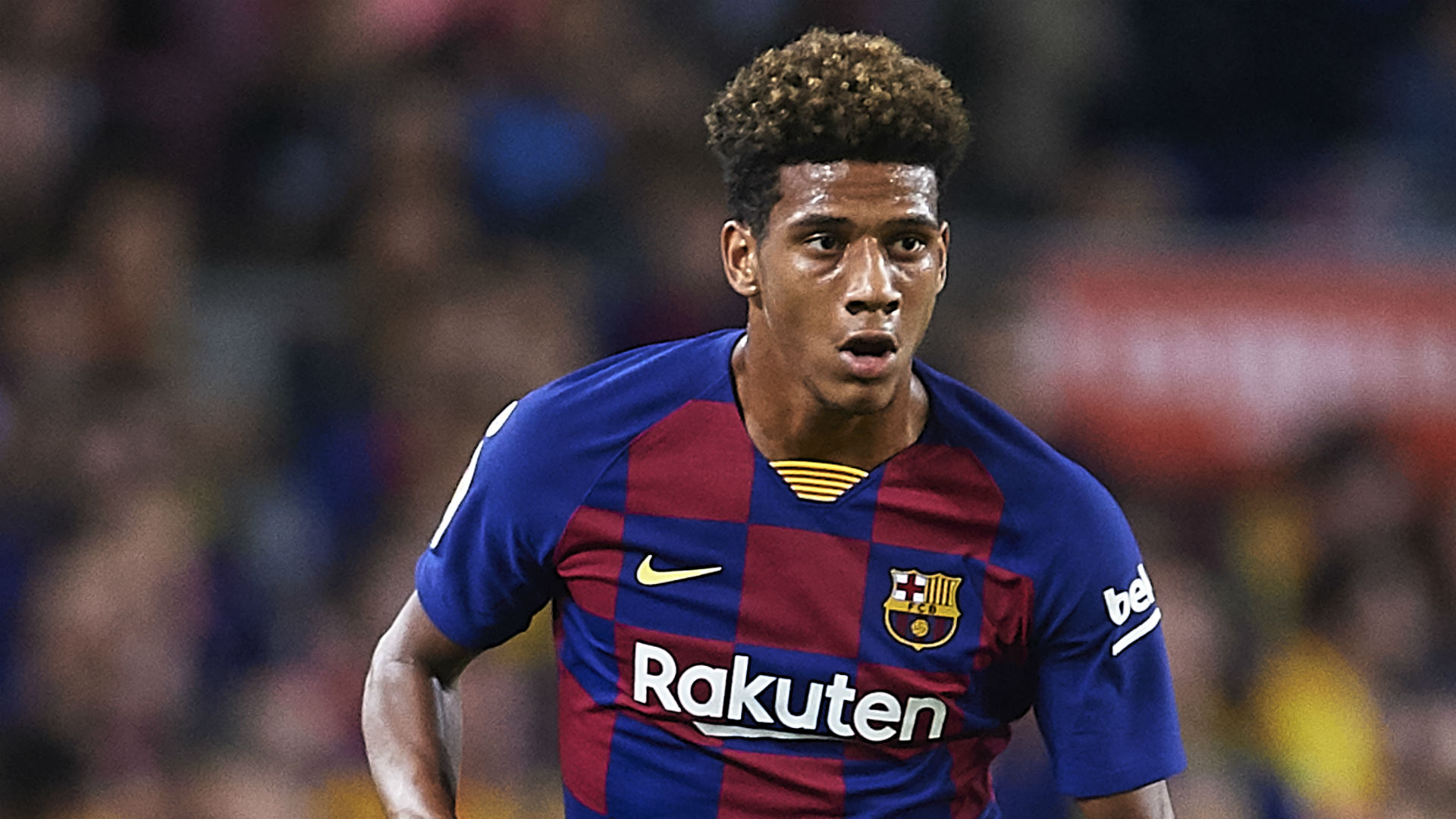 todibo