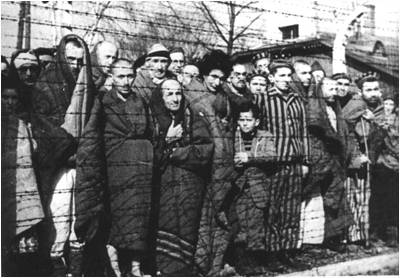 Pamje të tmerrshme nga Auschwitz
