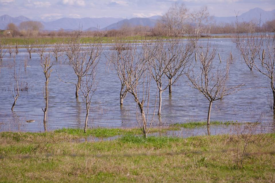 basha ne shkoder permbytje
