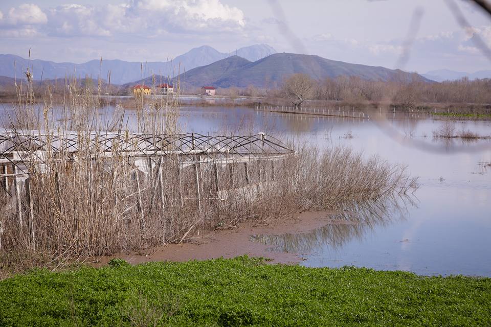 basha ne shkoder permbytje