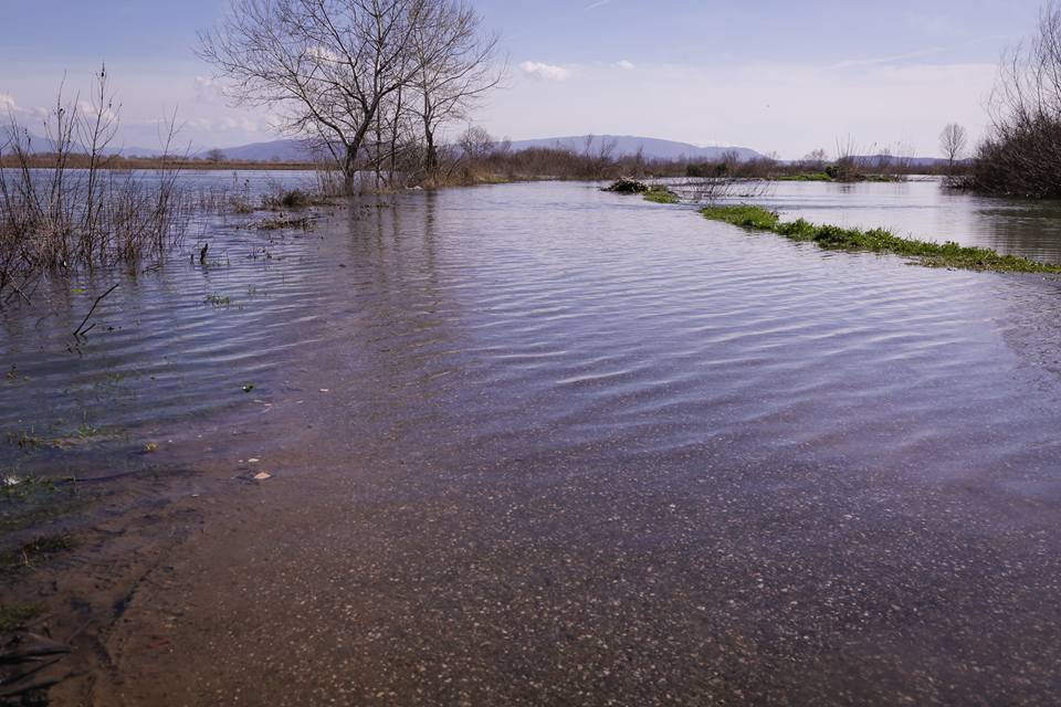 basha ne shkoder permbytje