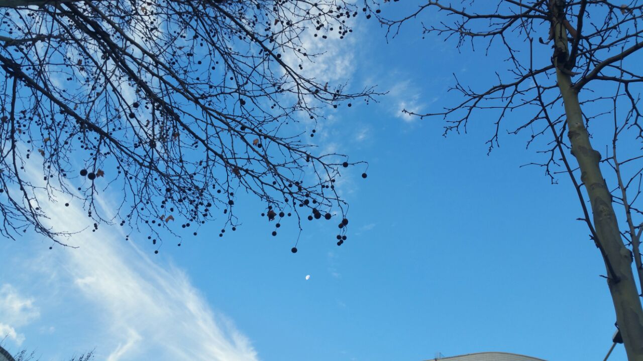 moti ne tirane