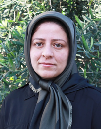 Somayeh Mohammadi