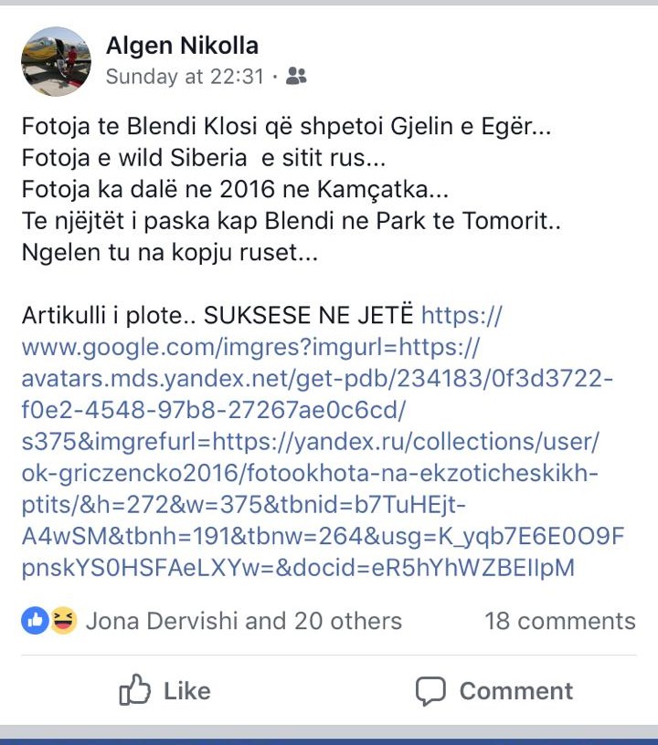 Algen-Nikolla