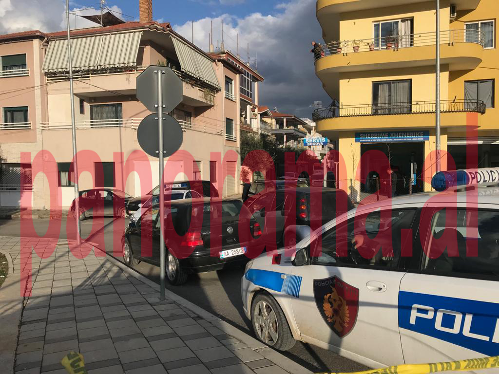 vendi ku ndodhi vrasja e ish policit Arben Bilali2 copy