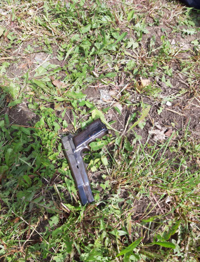 pistolert