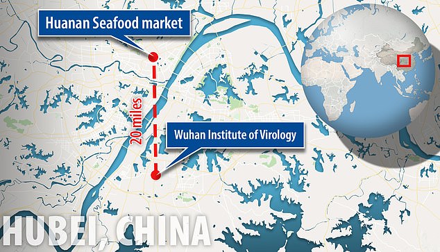 The-Wuhan-National-Biosafety-Laboratory-is-located-about-20-miles-away-from-the-Huanan-Seafood-Market-