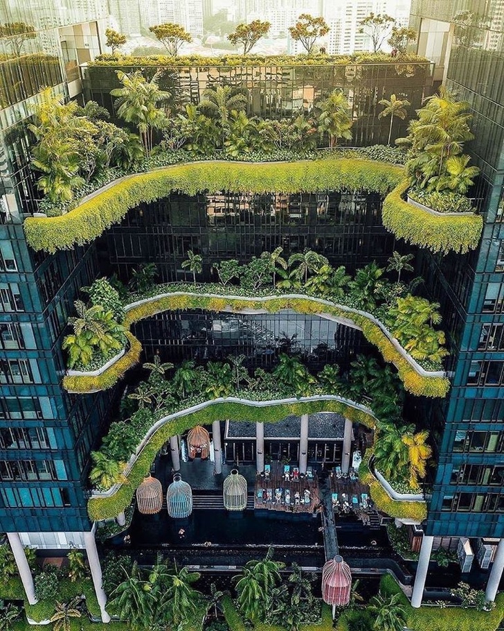 Një pjesë e natyrës urbane në Singapor