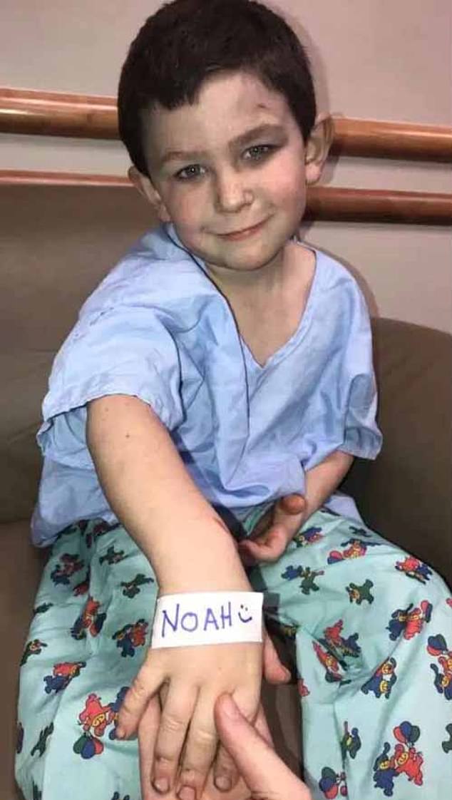 24735854-8003885-Noah_Wood_from_Bartow_County_Georgia_has_been_hailed_a_hero_for_-m-32_1581680123753
