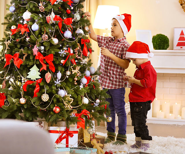 pema e Krishtlindjeve (2)
