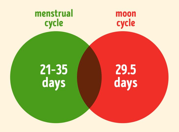 cikli menstrual (5)