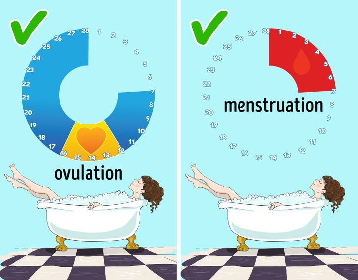 cikli menstrual (6)