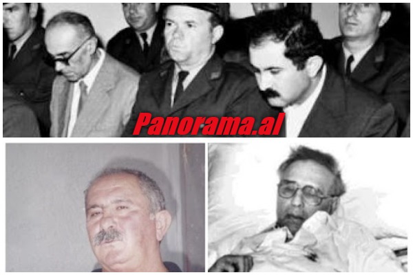 Vrasja Mehmet Shehut- ALi Ceno truproja-gjyqi-Kadri-Hazbiu