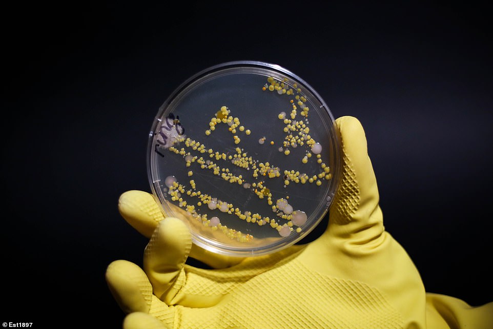 unaza-mikrobe