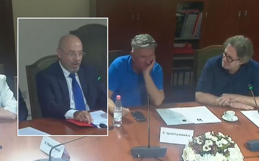 alizoti ambasadori ne rusi