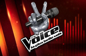 the voicer