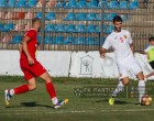 Gojkovic