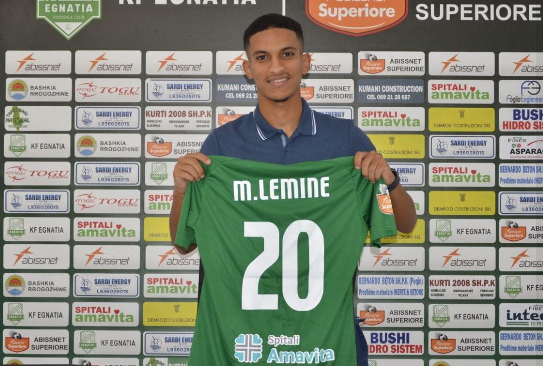 lemin