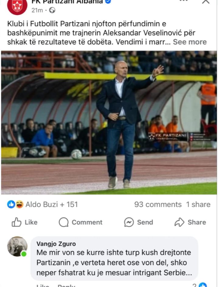 partizani