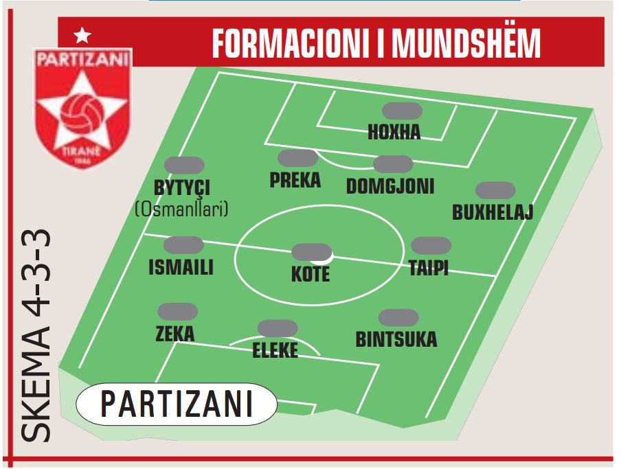 PARTIZANI