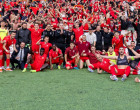 partizani