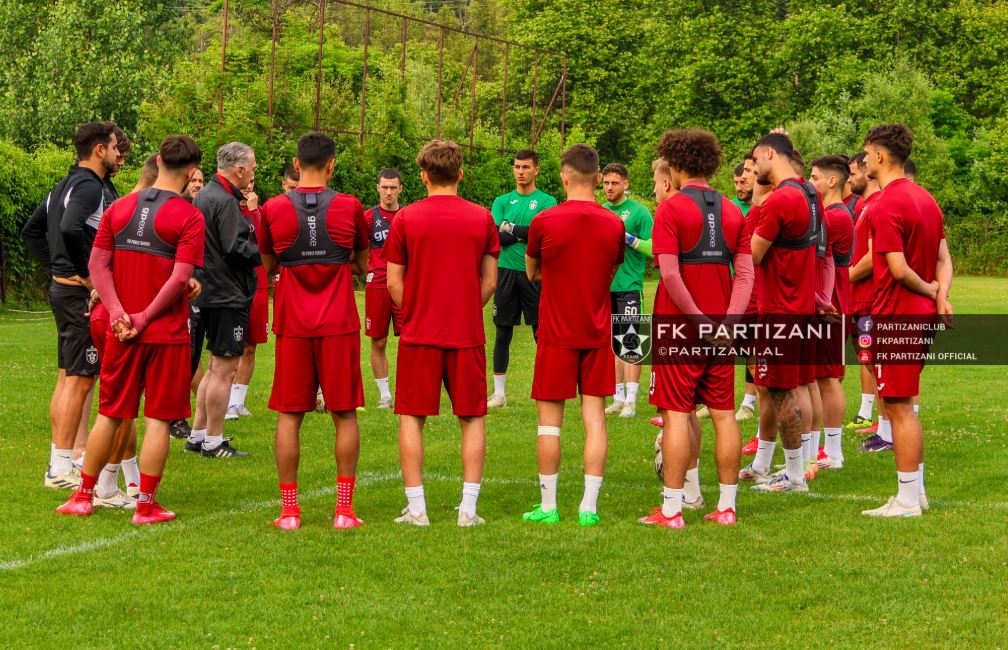 partizani