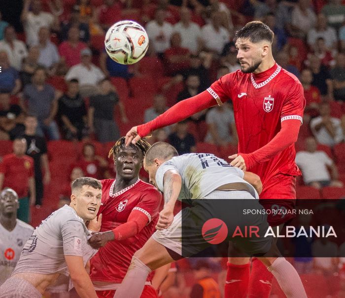 PARTIZANI
