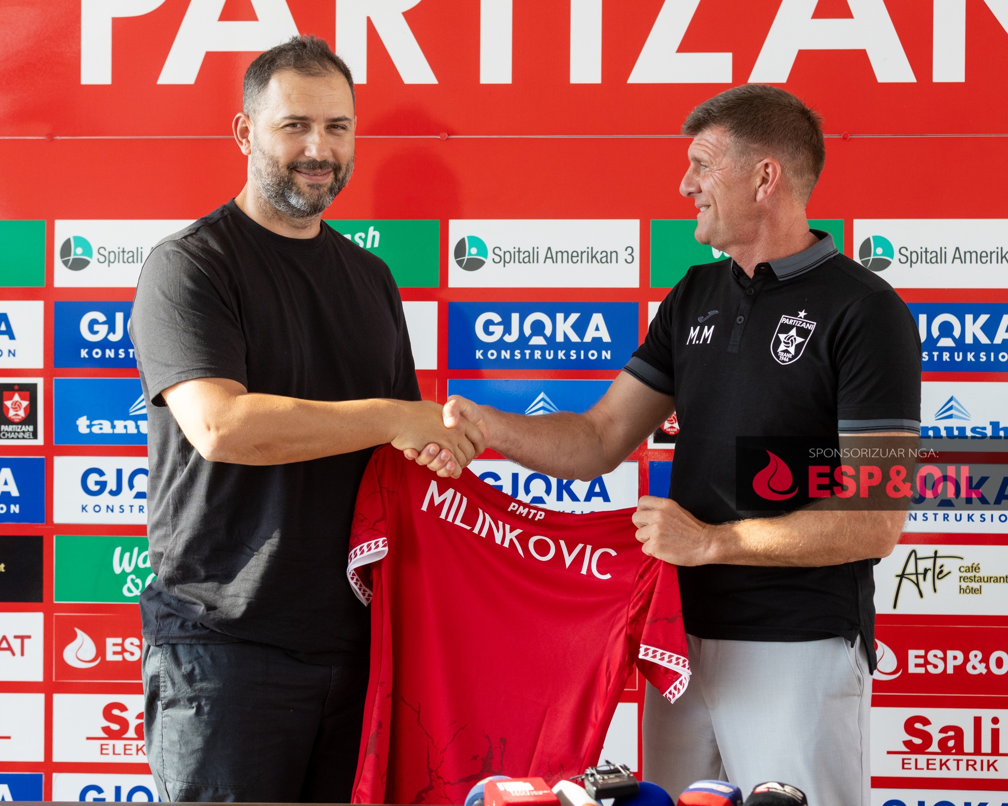 milinkovic abilaliaj