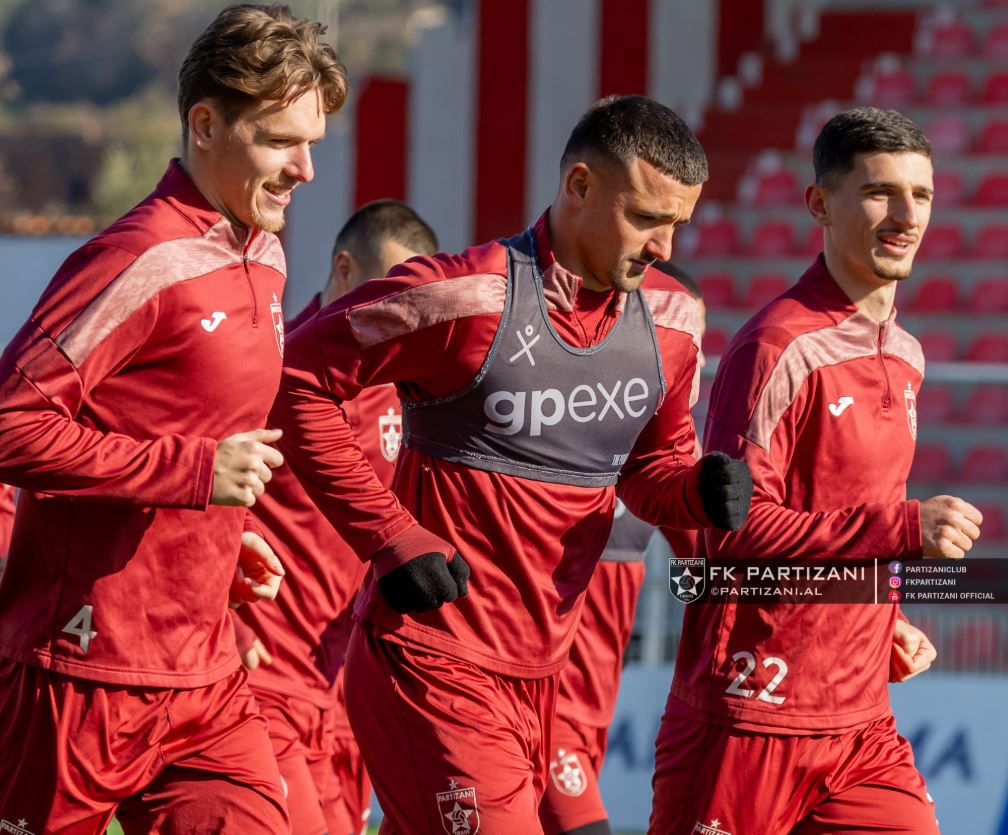 PARTIZANI