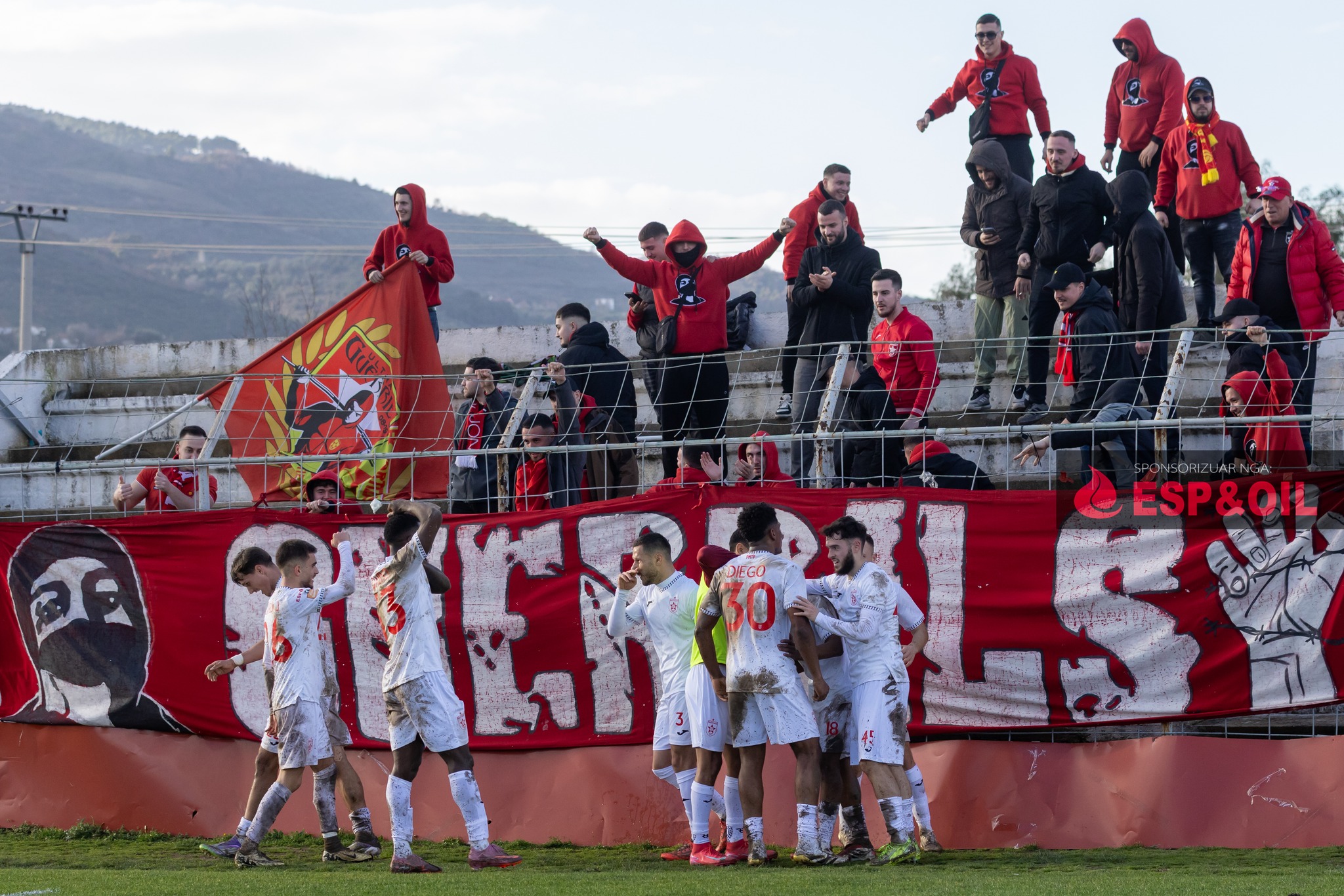 partizani