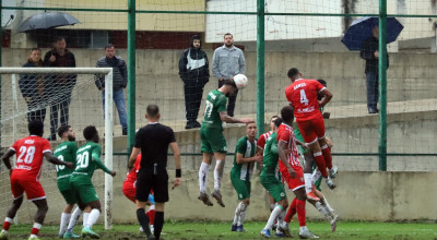 APOLONIA SKENDERBEU