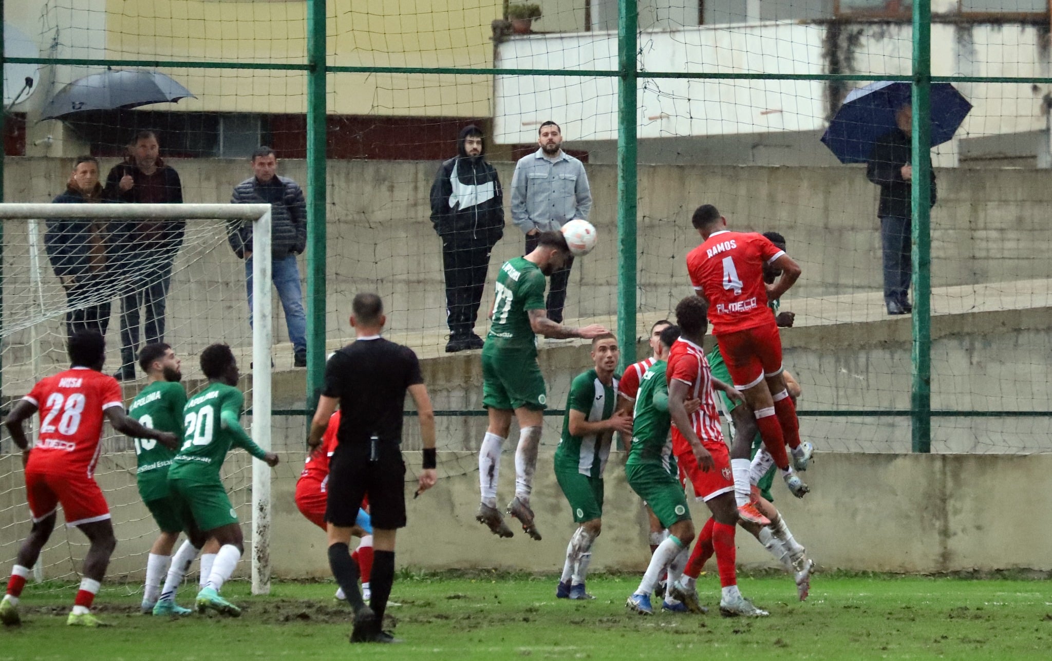 APOLONIA SKENDERBEU