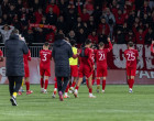 partizani