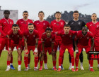 partizani