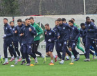 dinamo