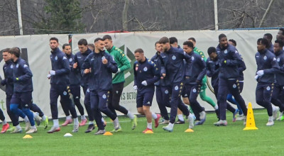 dinamo