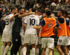 DINAMO