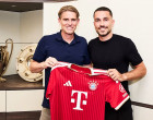 ibrahimovic