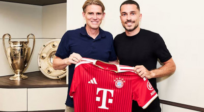 ibrahimovic
