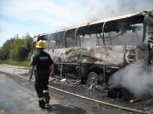 berat. autobuzi i djegur1