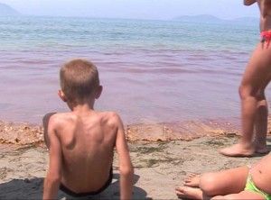 vlore,-ndotja-me-solar-ne-z