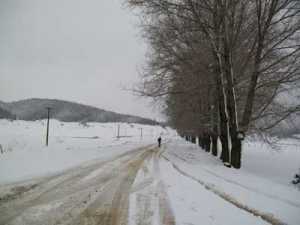 elbasan,-rruga-e-sterbleves
