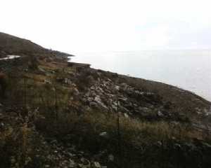 shkoder,-vendi-ku-u-gjet-gruaja-e-plagosur